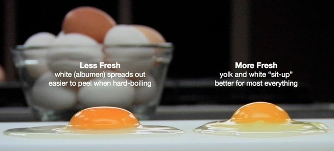 生活小贴士：如何判断鸡蛋是否新鲜