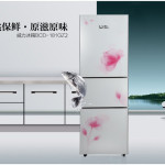 WEILI 威力BCD-181GZ2 181升三门冰箱(红花杏)