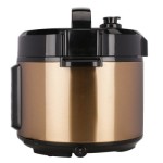 京东:POVOS奔腾 5L双胆24小时预约 营养蒸LN5151电脑电压力锅