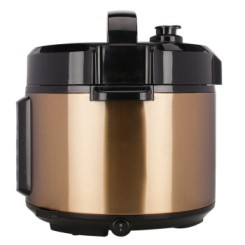 京东：POVOS奔腾 5L双胆24小时预约 营养蒸LN5151电脑电压力锅