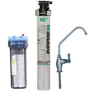 Everpure 爱惠浦 i20002加强款净水器