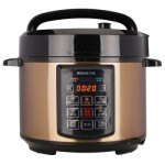 POVOS奔腾 LN5151 电压力锅 5L容量一煲双胆