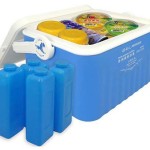 Horigen 好女人 多用母乳保鲜冰盒(带奶瓶4支)