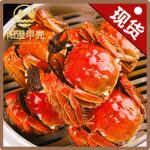 阳澄甲壳 阳澄湖大闸蟹 母螃蟹2.5-2.1两*8只装
