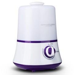 Deerma 德尔玛 DEM-F320LS 超静音迷你加湿器