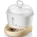 Bear小熊 DDZ-108TA电炖锅 BB煲 0.8L