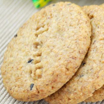 思朗 纤麸 黑芝麻粗粮消化饼干 2.5kg整箱