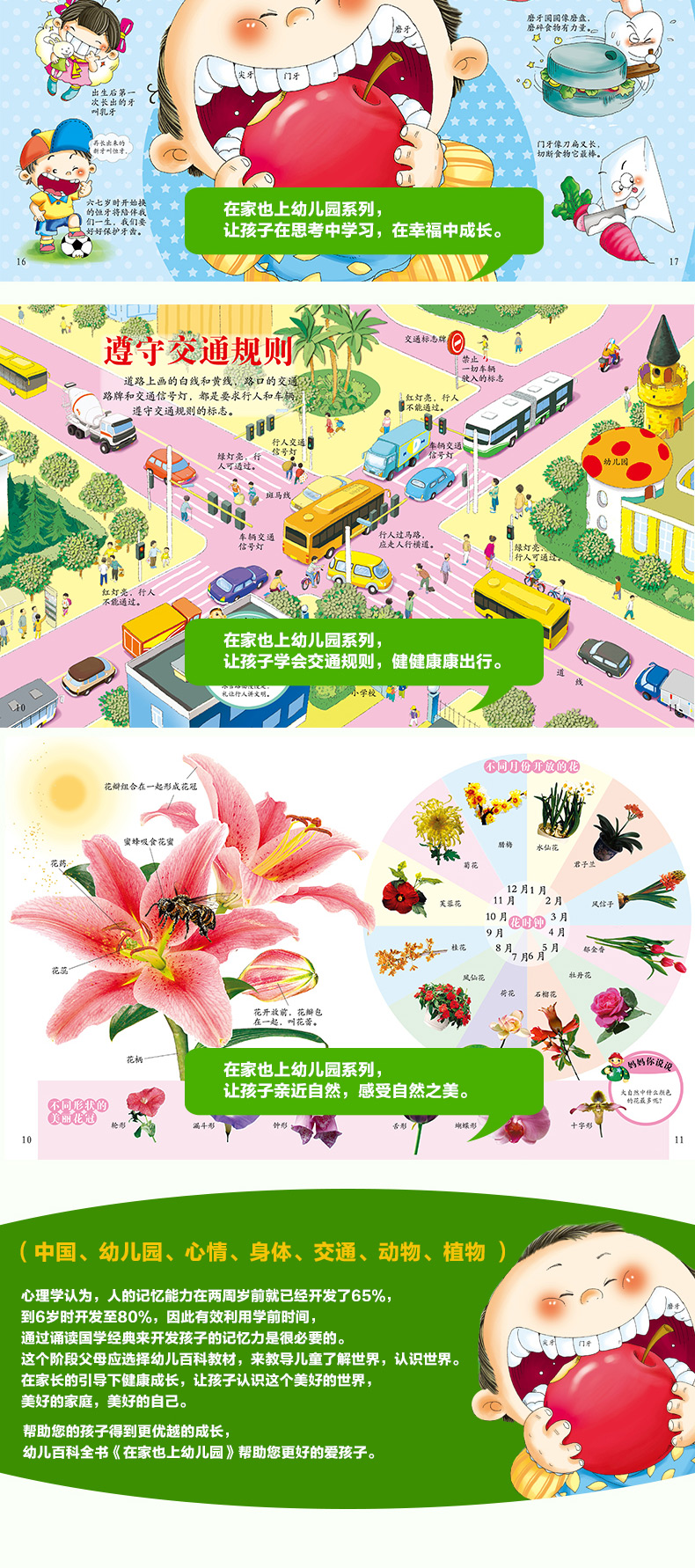 中国幼儿百科全书 在家也上幼儿园 婴幼儿童智力启蒙教育书 幼儿童科普趣味读物 幼儿EQ0-3岁绘本图书