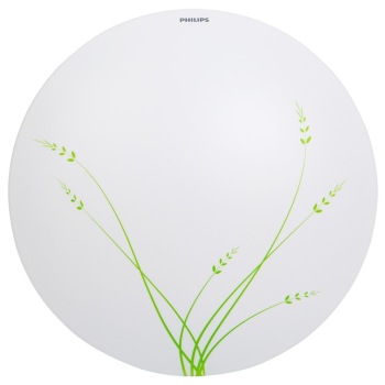 Philips飞利浦 68034 彩云吸顶灯32w 简约款 卧室灯