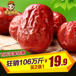 天山佳园 新疆和田红枣大枣 五星玉枣枣子500g +新疆特产试吃包