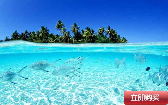 “马尔代夫”将浪漫进行到底