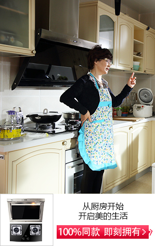 Midea/美的 DT520R+Q636B 欧式蒸汽洗大吸力抽油烟机燃气灶套餐装