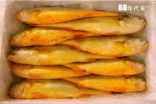 一张10元人民币在60年代能买些什么?