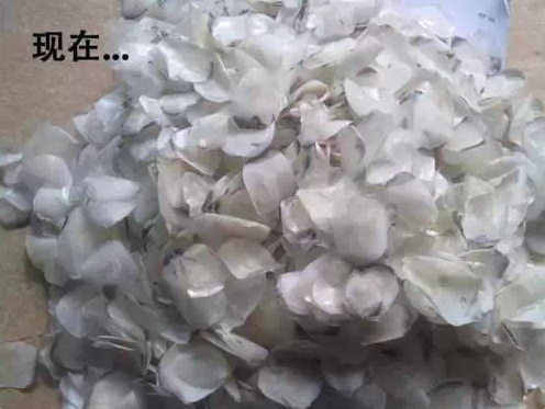 一张10元人民币在60年代能买些什么?