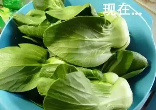 一张10元人民币在60年代能买些什么?