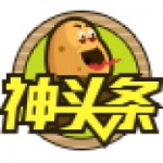 盘点今年夏天很火的露脐装 凉快又时髦