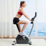 美国SUNNY HEALTH&FITNESS 家用坐式皮带静音磁控健身车 超静音动感单车 SF-B910 银色