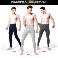 彼尔丹 男士秋裤单件纯棉薄款保暖裤修身全棉打底线裤衬裤2件装