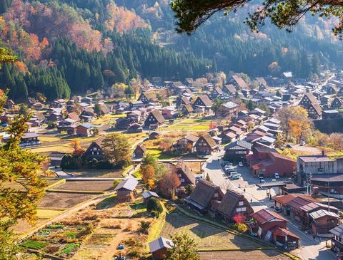 天猫双11预售:上海/全国多地出发-日本名古屋 5/6日往返含税机票 赠wifi/半日游