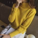 颜兰 韩版女士底摆开叉半高领套头毛衣 短款宽松针织衫打底衫 5色可选