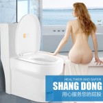 尚动 SD-350 通用老式加厚座便器坐便器盖板缓降马桶盖U型V型O型