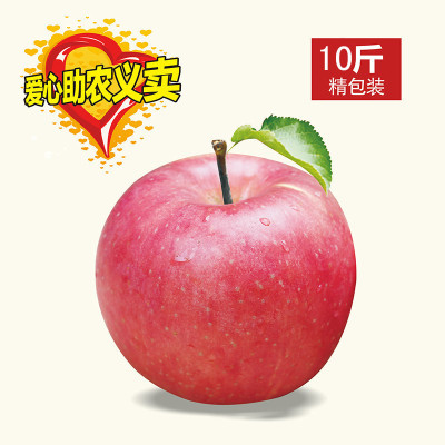 砀山馆 优质苹果 红富士苹果10斤 新鲜甜脆天然爱心助农
