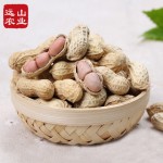 远山 福建正宗特产龙岩花生500g*4袋 蒜香/红皮/咸酥口味带壳花生