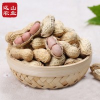 远山 福建正宗特产龙岩花生500g*4袋 蒜香/红皮/咸酥口味带壳花生