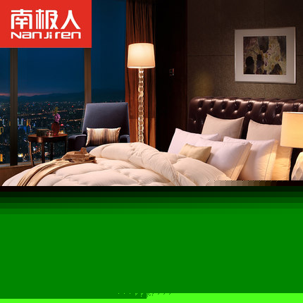 南极人 单双人冬天被子加厚棉被冬被学生春秋羽丝绒被芯秋冬新品