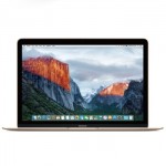 Apple苹果 MacBook 12英寸笔记本电脑 金色 256GB闪存 MK4M2CH/A