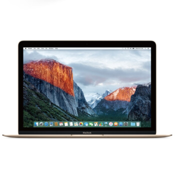 Apple苹果 MacBook 12英寸笔记本电脑 金色 256GB闪存 MK4M2CH/A
