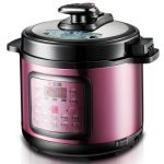 CHIGO志高 ZG-519D 电压力锅5L一锅双胆 多功能 24小时智能预约 玫瑰红