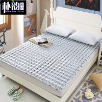 朴韵 可水洗单双人榻榻米 床垫 薄床褥 防滑折叠双人垫被 床护垫 5款可选
