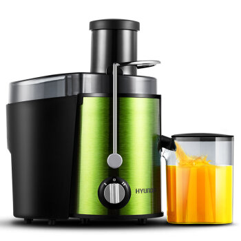 HYUNDAI现代 BD-ZZ2507榨汁机 多功能家用婴儿料理机果汁机 汁渣分离