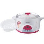 TONZE天际 DGD10-10QWG 电炖锅 电炖盅 1L