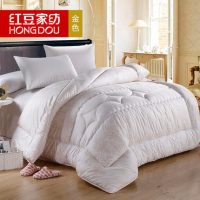 红豆 春秋被子 被芯 冬被 单双人保暖棉被 冬季被褥 空调被 太空被 2色可选