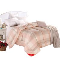 长相知家纺 春秋被冬被芯单人双人被子学生棉被夏季空调被夏凉被200*230cm