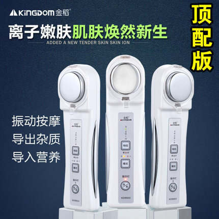 金稻 KD-9003脸部按摩仪 美容导入导出仪器排毒震动 家用面部美白仪充电款