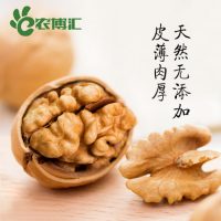 农博汇 大生薄皮核桃500g 新疆新鲜原味坚果仁散装新货批发非纸皮