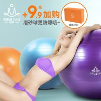 峰燕 FY015加厚瑜伽球防爆健身球瑜珈球孕妇减肥球愈加球无味 55cm