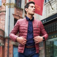 爱登堡 秋冬棉衣青年修身潮男士棉服外套短款加厚保暖棉袄中年男装 4色可选