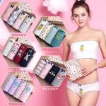 法芬蒂 可爱性感提臀少女士内裤女纯棉裆部中腰学生棉质面料三角裤 11款可选