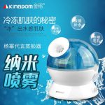 金稻 KD-2331-6纳米喷雾补水仪蒸脸器家用冷喷美容仪加湿抗过敏蒸面机神器