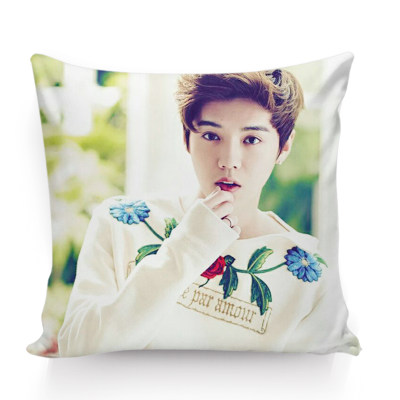 意莱梦 照片抱枕定制订做图片靠垫枕头DIY个性创意明星汽车腰枕靠背被垫