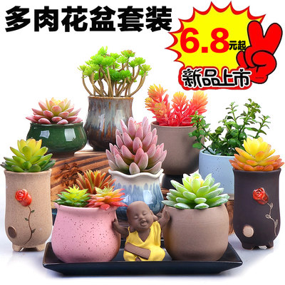 盆然园艺 多肉花盆批发大多肉植物花盆陶瓷创意个性室内肉肉花盆素烧小花盆