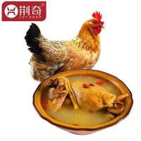 荆奇 松滋散养土鸡农家散养滋补老母鸡新鲜柴鸡草鸡走地鸡现杀 约1kg