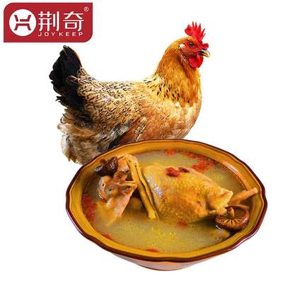 荆奇 松滋散养土鸡农家散养滋补老母鸡新鲜柴鸡草鸡走地鸡现杀 约1kg