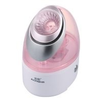 金稻 KD23318蒸脸器美容仪家用冷喷纳米离子补水喷雾机抗过敏蒸面器加湿器