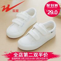 DOUBLE STAR双星 童鞋儿童帆布鞋男童春秋白色球鞋宝宝小白鞋子女童亲子鞋板鞋