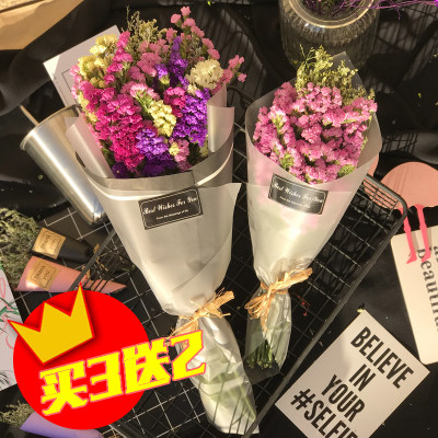 七里森活 云南真花鲜花勿忘我天然干花永生花束情人草水晶草满天星拍照道具